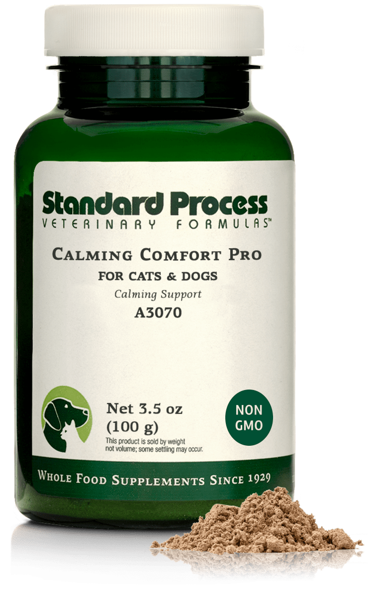 Calming Comfort Pro