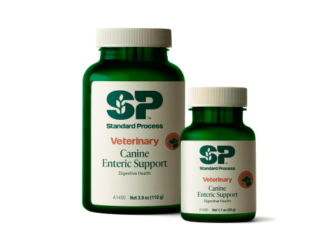Canine Enteric Support