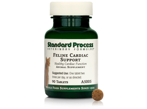 Feline Cardiac Support