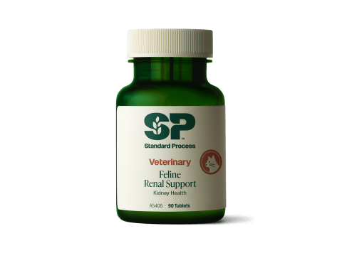 Feline Renal Support