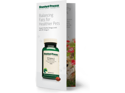 VF Omega-3 Brochure