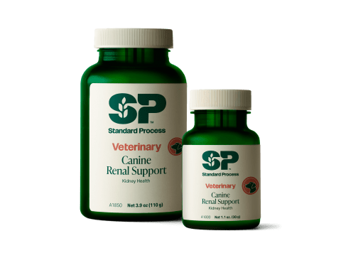 Canine Renal Support