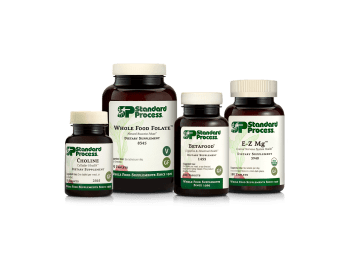 Protocol: Balanced Methylation Support