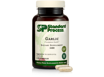 Garlic