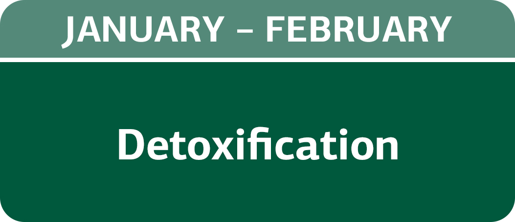 January/February - Detoxification